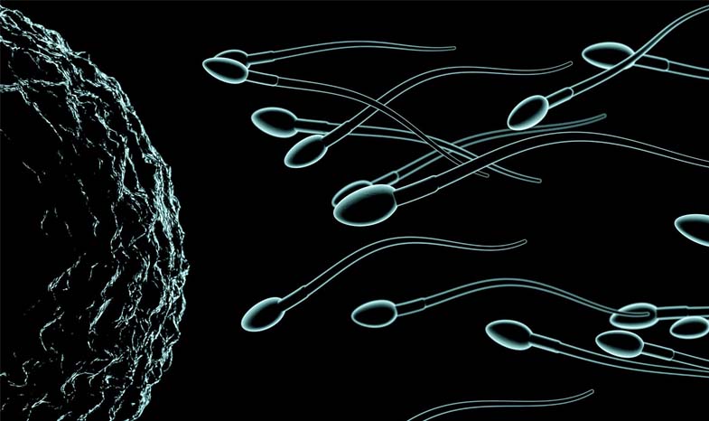 Prostat Ameliyatı Kısırlık Yapar Mı?